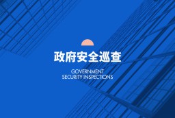 政府安全巡查